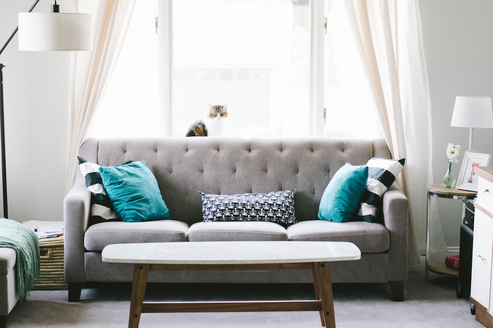 renters insurance Los Gatos CA